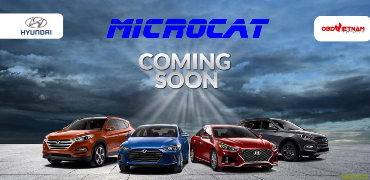 Hyundai Microcat