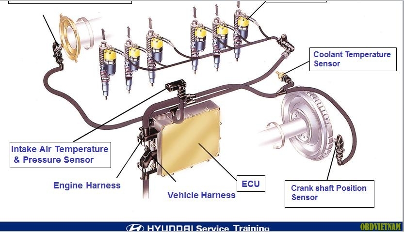 Chương trình đào tạo chuyên đề động cơ Hyundai D6CA/D6CB:
