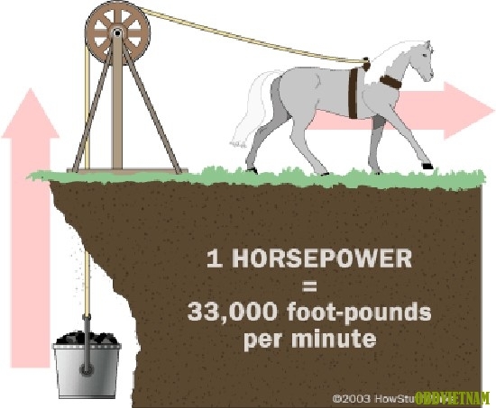 Một con ngựa trung bình có thể nâng được 33 ngàn pound lên cao 1 foot trong 1 phút. 