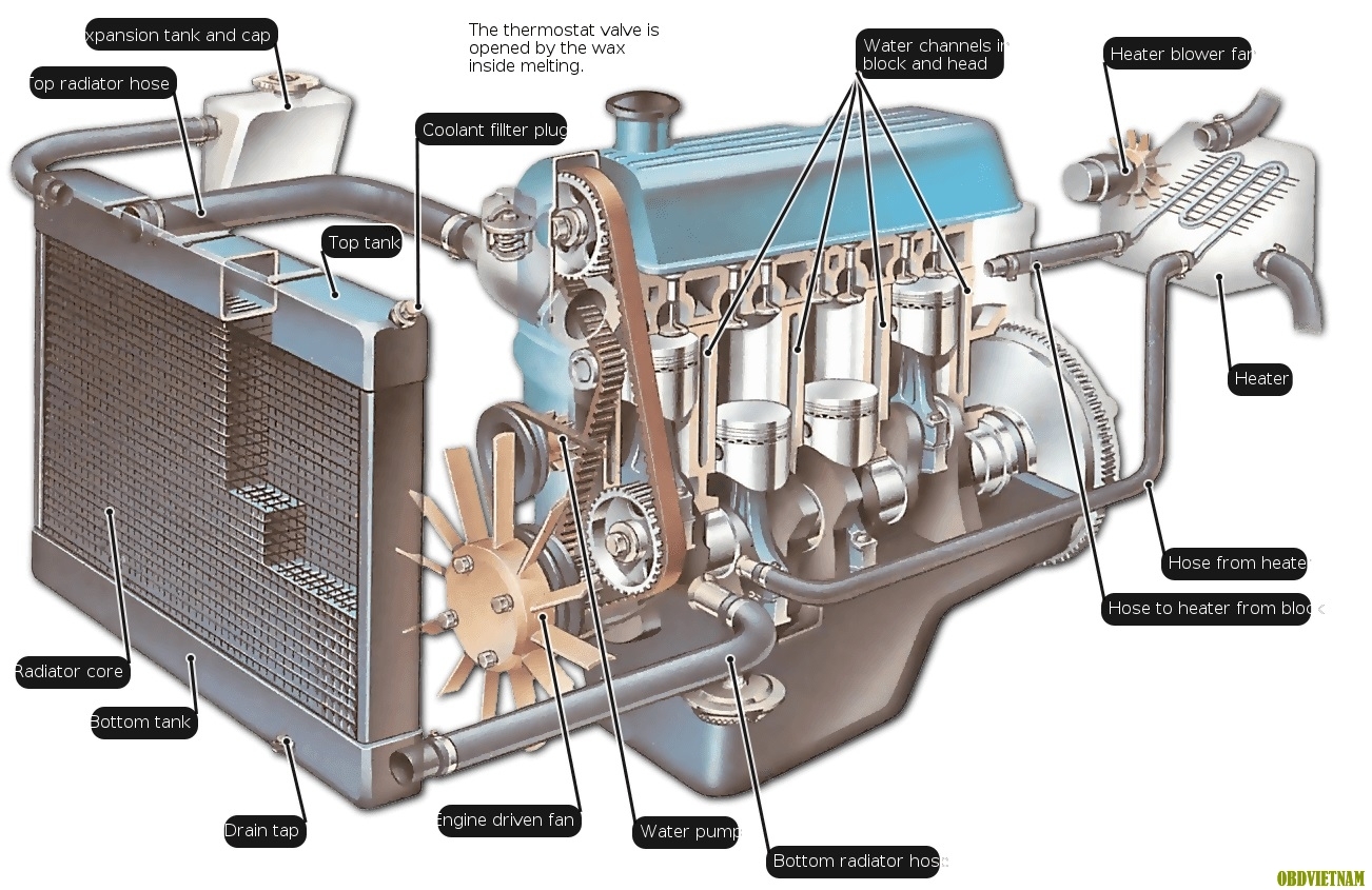 Tiếng Anh Chuyên Ngành Ô Tô - An Engine Radiator - Bộ Tản Nhiệt Động Cơ